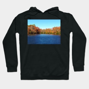 Beautiful Lake Hoodie